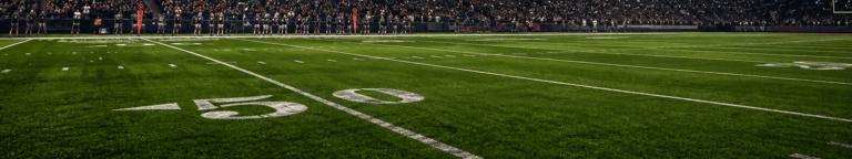 Die Schiedsrichter der NFL